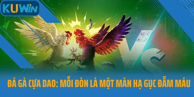 Đá gà cựa dao
